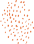 icono gotas o puntos color naranja diseñado para Lara Naturo